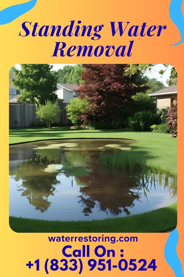 Standing Water Removal in McCarr, KY